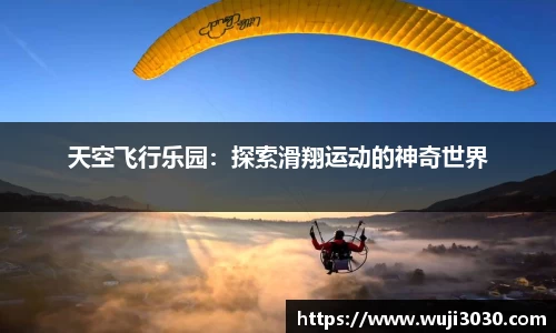 N江南.体育
